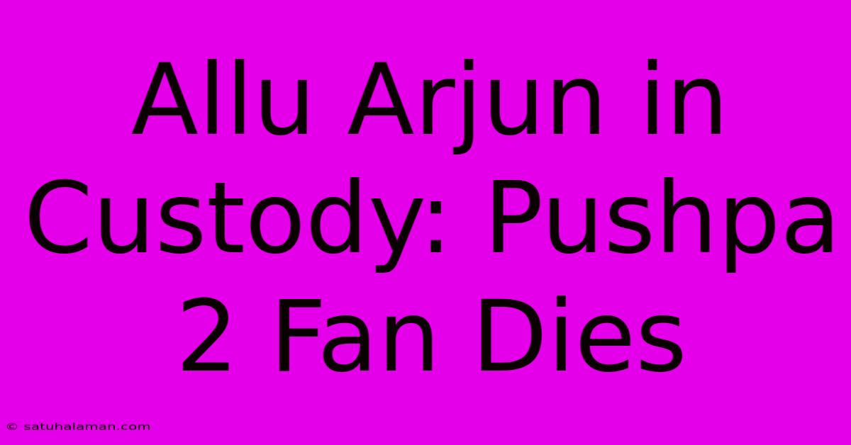 Allu Arjun In Custody: Pushpa 2 Fan Dies